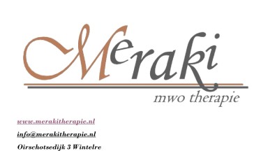 Meraki-1080